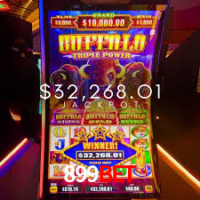 Bonus Features 899Bet